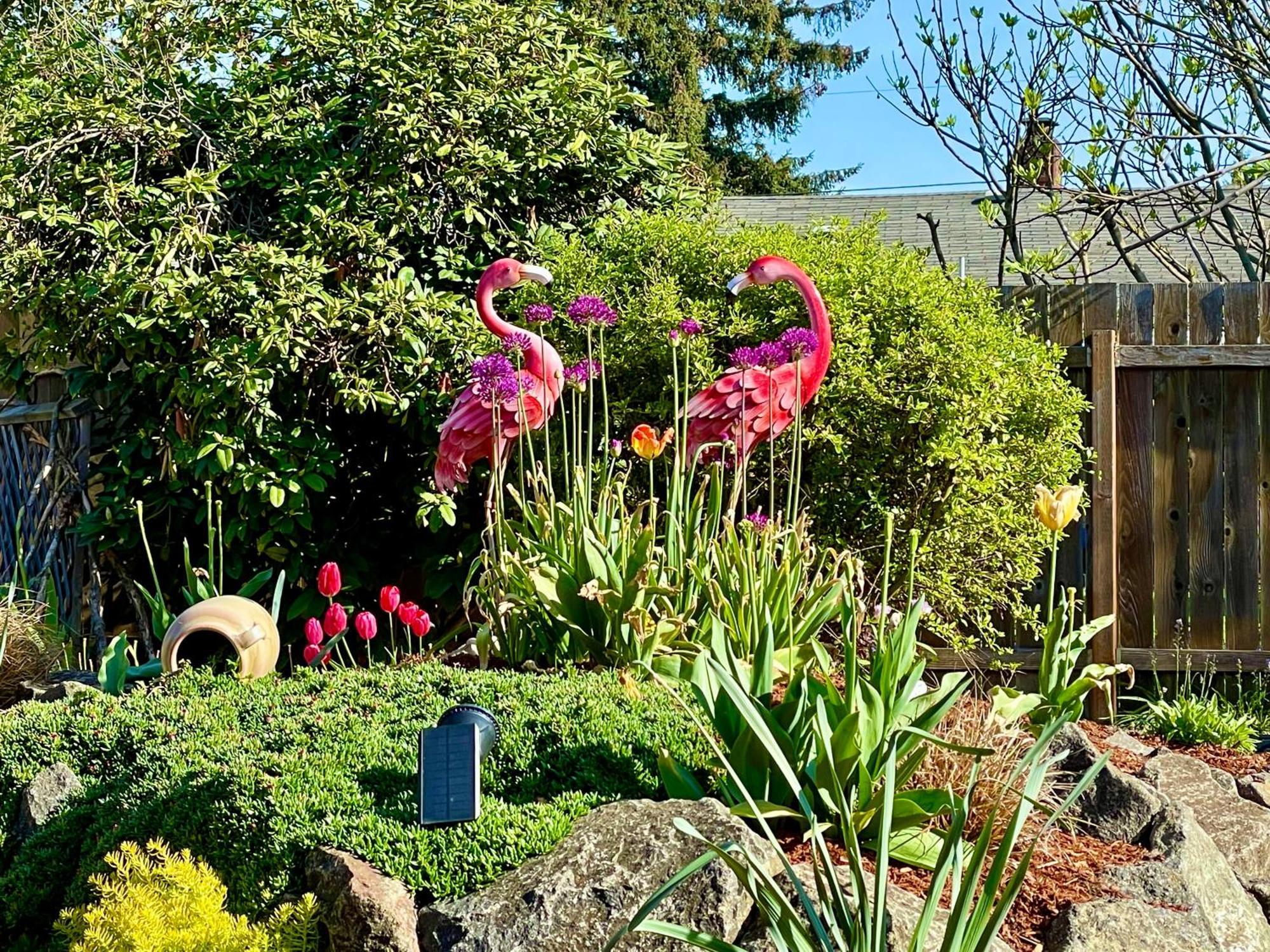 Colorful 50'S Ranch In The Heart Of Eugene别墅 外观 照片