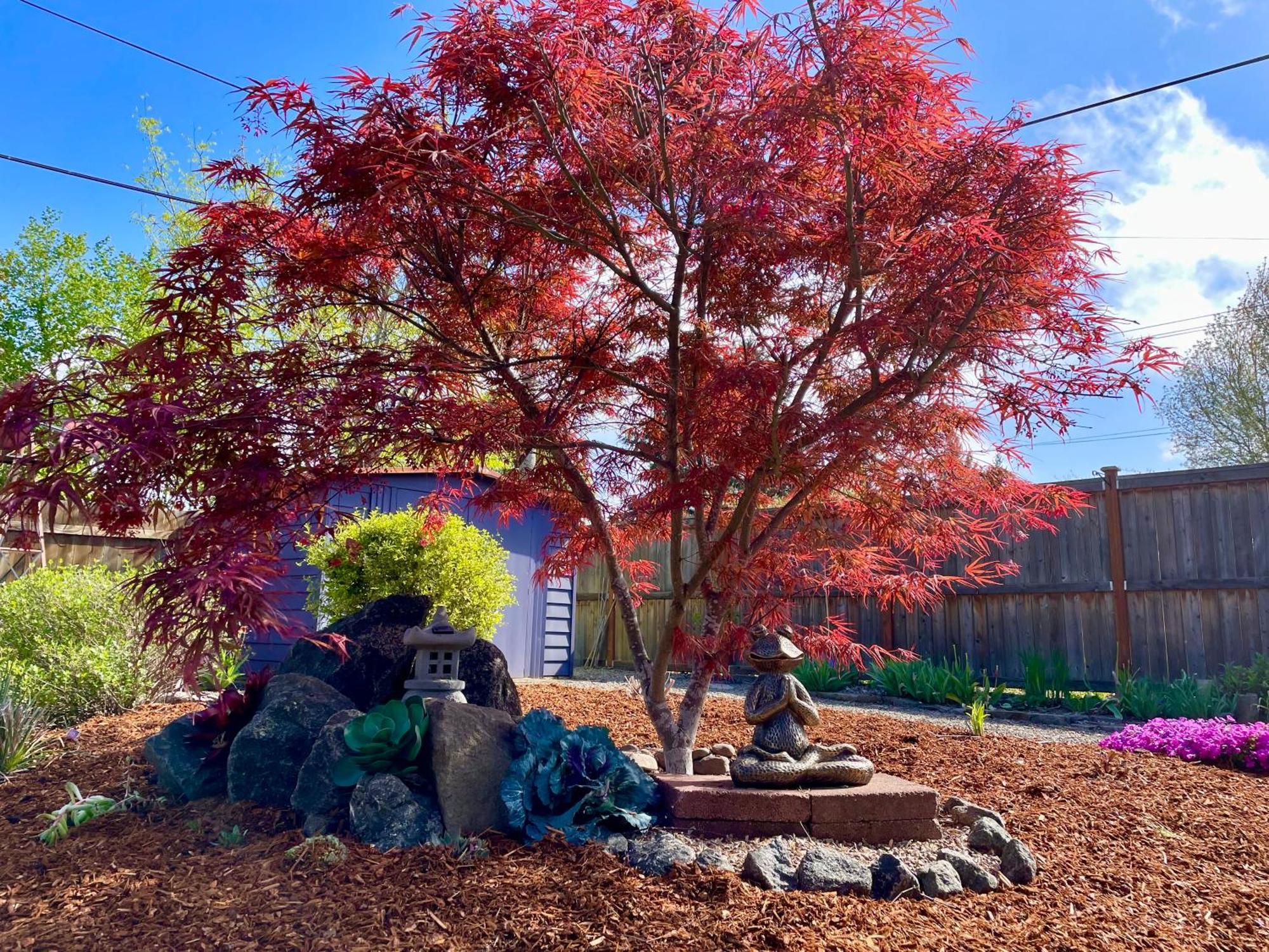 Colorful 50'S Ranch In The Heart Of Eugene别墅 外观 照片