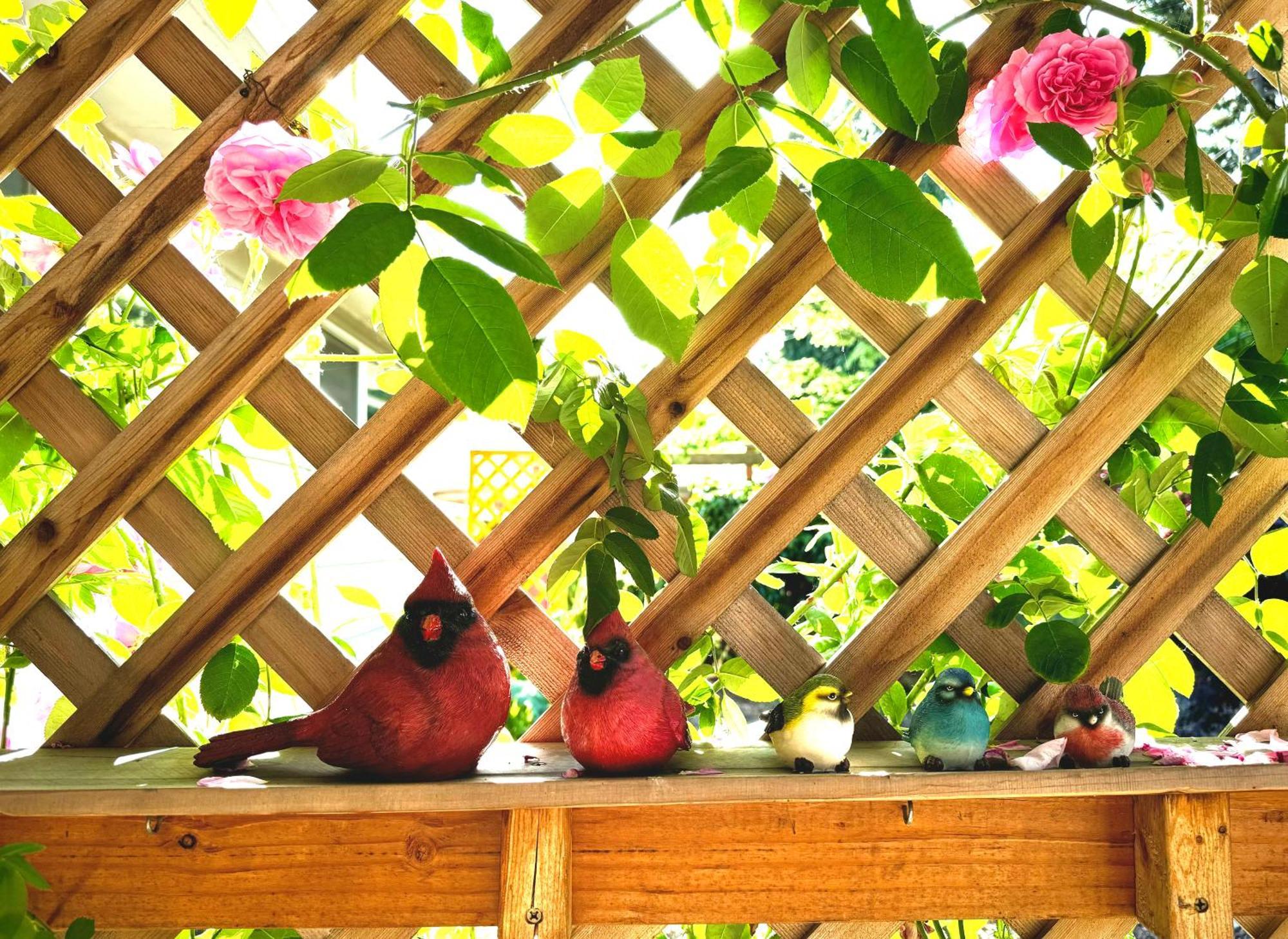 Colorful 50'S Ranch In The Heart Of Eugene别墅 外观 照片